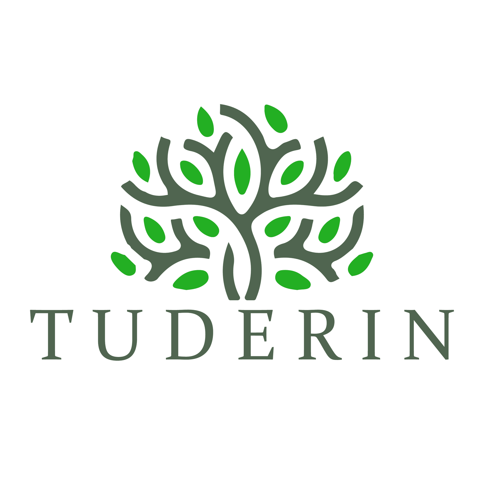 Tuderin