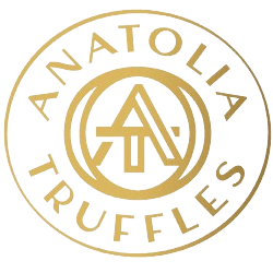 Anatolia Truffles