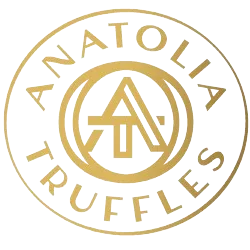 Anatolia Truffles