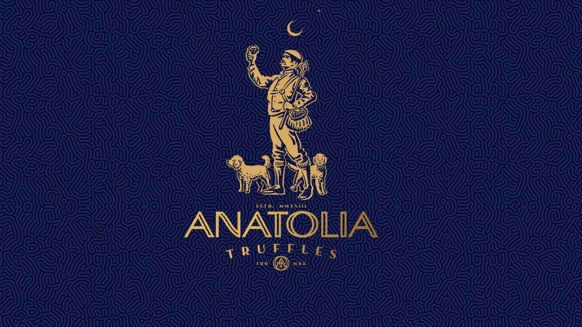 Anatolia Truffles Banner