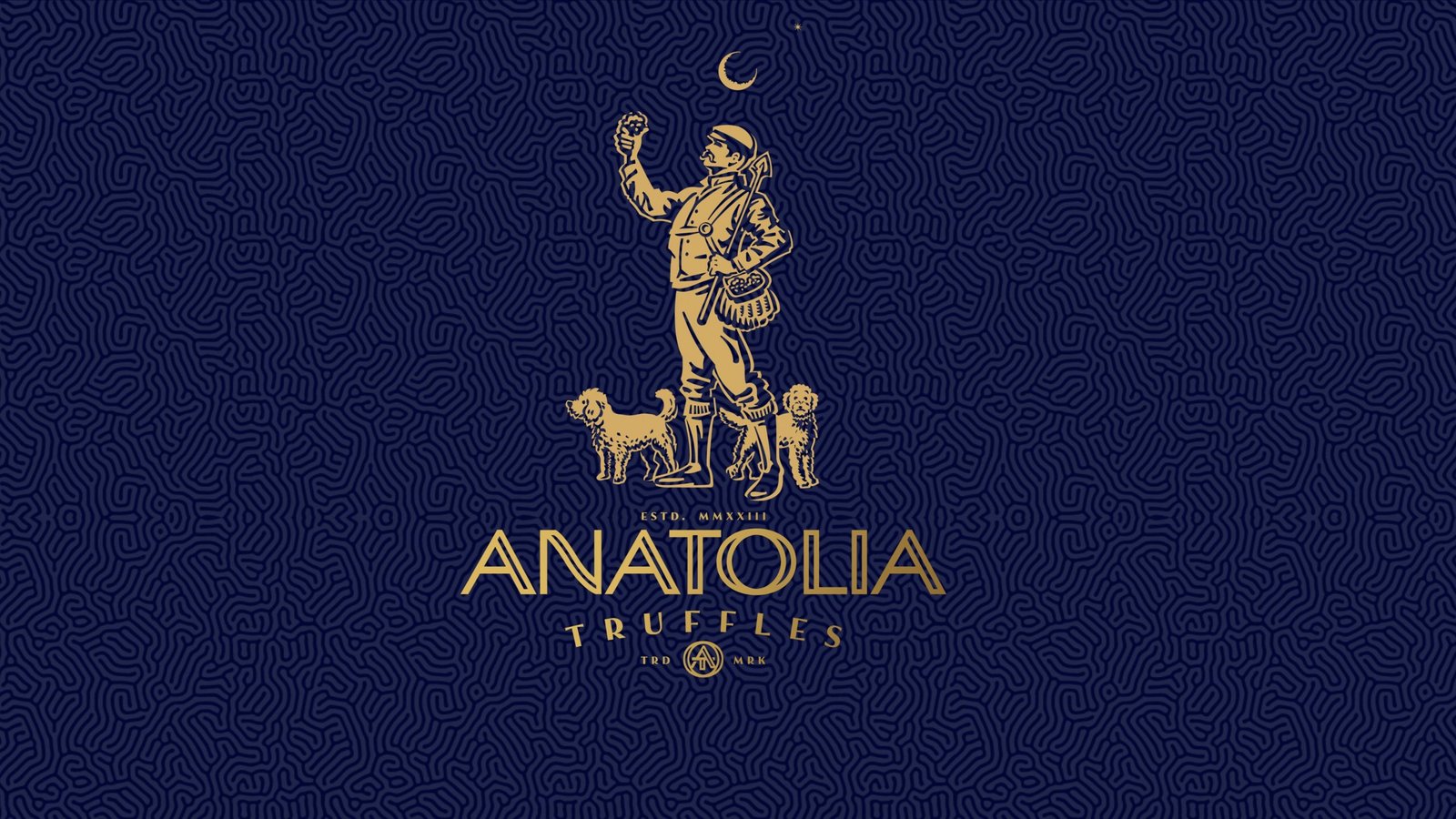 Anatolia Truffles Banner